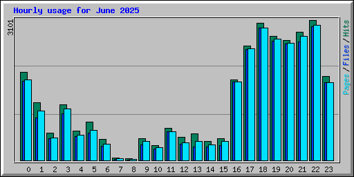 Hourly usage for June 2025